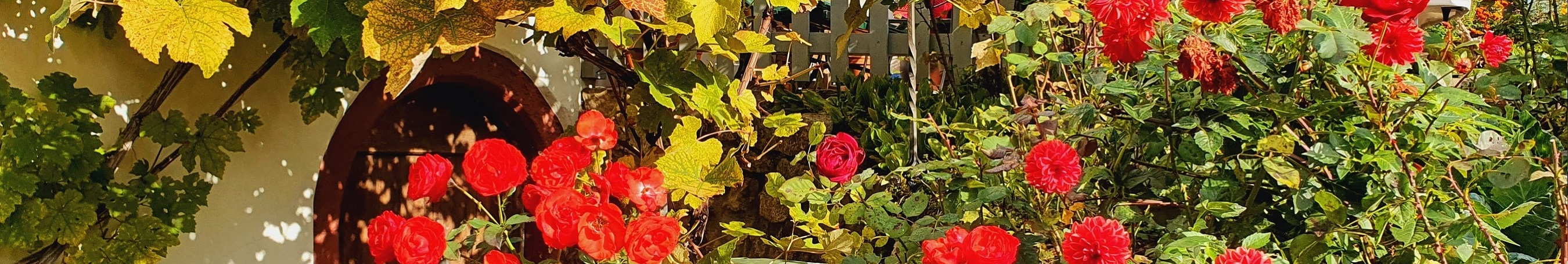 Herbst